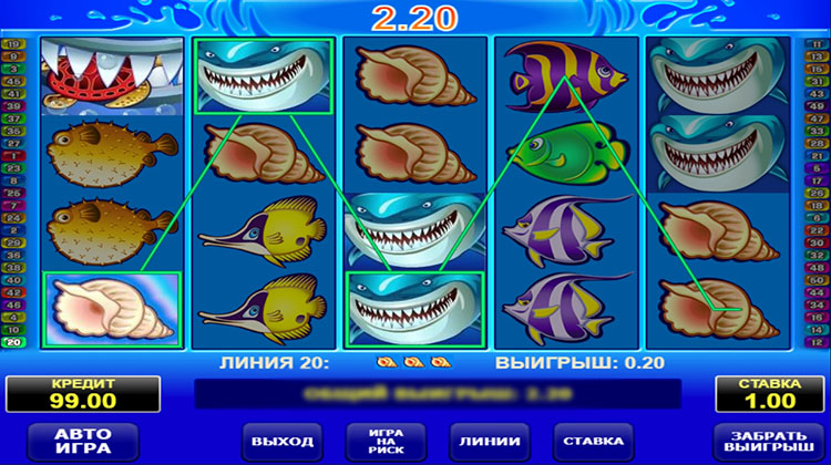 Демоверсия Wild Shark